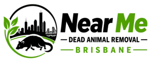 Near Me Dead Animal Removal Brisbane